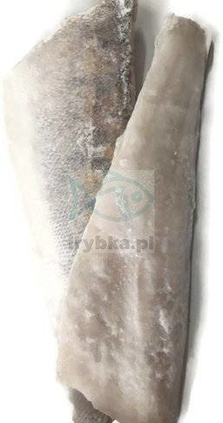 Zanderfilet - tiefgefroren - 20% Glasur / 500-800g