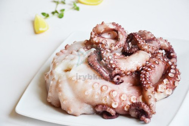 Ganzer Oktopus - roh gefroren / 1,0-2,0 kg.