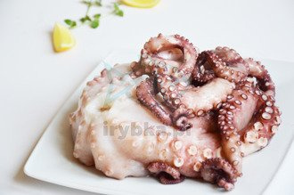 Ganzer Oktopus - roh gefroren / 1,0-2,0 kg.