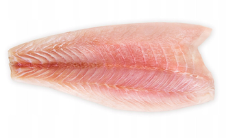 Nilbarschfilet / ca. 10% Glasur /