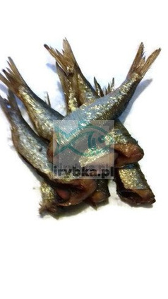 Heringskadaver - geräuchert