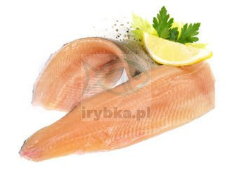 Frisches Forellenfilet mit Haut