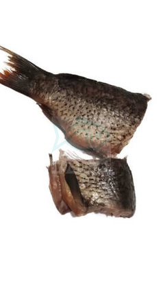 Karpfen Dzwonko - natürlich geräuchert / aus polnischer Zucht