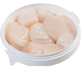 Muschelfleisch Jacob - frisch -(Jakobsmuscheln) 1 kg