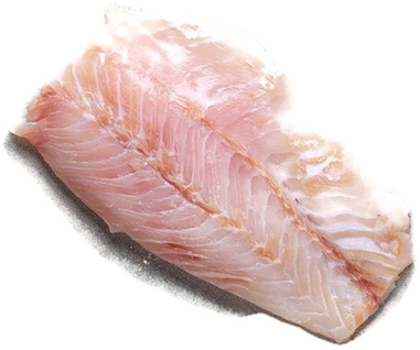 Nilbarschfilet / ca. 10% Glasur /