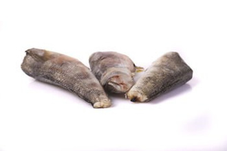 Nototenia-Kadaver ohne Kopf / 10% Glasur /