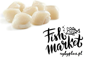 Muschelfleisch Jacob - frisch -(Jakobsmuscheln) 1 kg