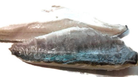 Kabeljau Seelachsfilet mit Haut
