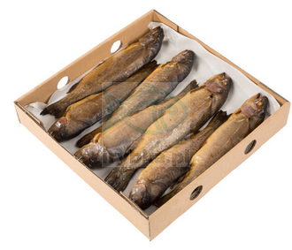 Traditionell geräucherte Forelle