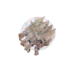Tiefgefrorener Tintenfisch / 1kg Packung / 20% Glasur