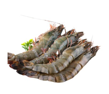 Black Tiger Garnelen ganz in der Schale - /21-30 Stk./kg - 25% Glasur
