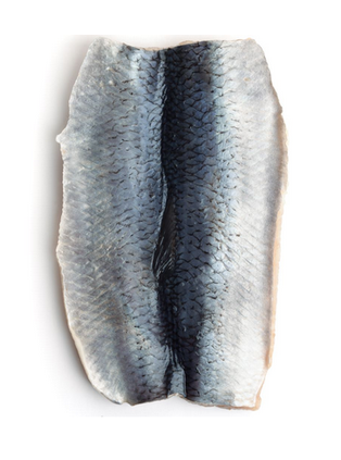 Grüner Hering - Atlantische Heringsfilets