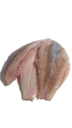 Frischer Flunderkadaver