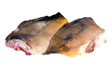Frisches Karpfenfilet