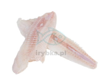 Seezunge - Filet ohne Haut / ca. 10% Glasur /