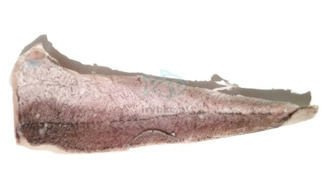 Neuseeländisches Kabeljaufilet mit Haut - 0% Glasur
