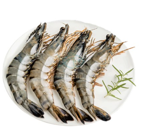 Black Tiger Garnelen ganz in der Schale - /16-20 Stk./kg - 25% Glasur