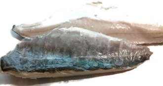 Kabeljau Seelachsfilet mit Haut