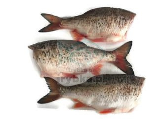 Ausgenommene Plötze - frisch