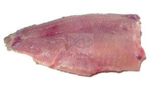 Frisches Karpfenfilet